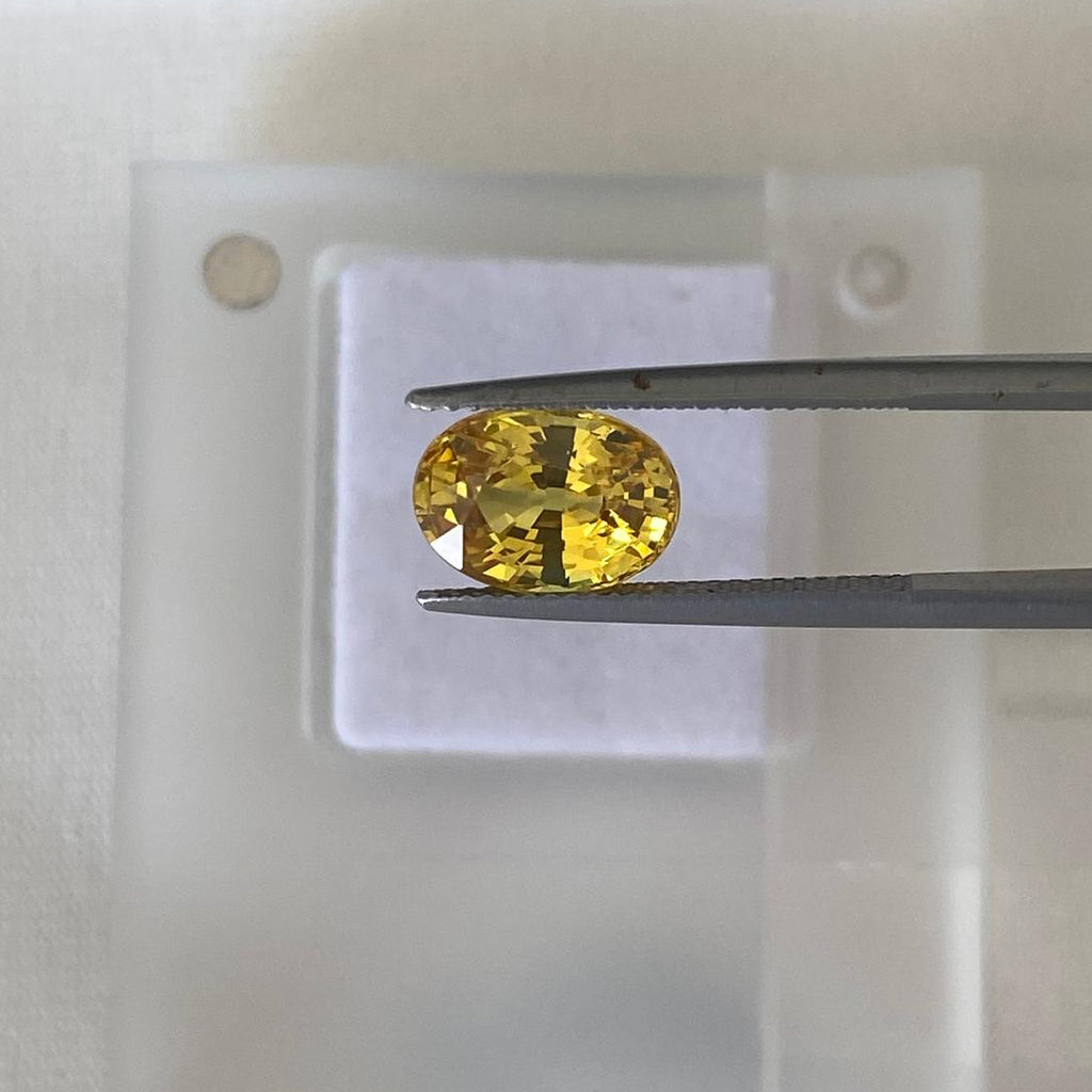 A small oval yellow sapphire held by metal tweezers over a translucent display block.