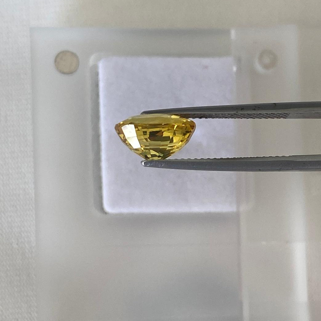 A 4.20 carat yellow gemstone held by metal tweezers over a translucent plastic display holder.