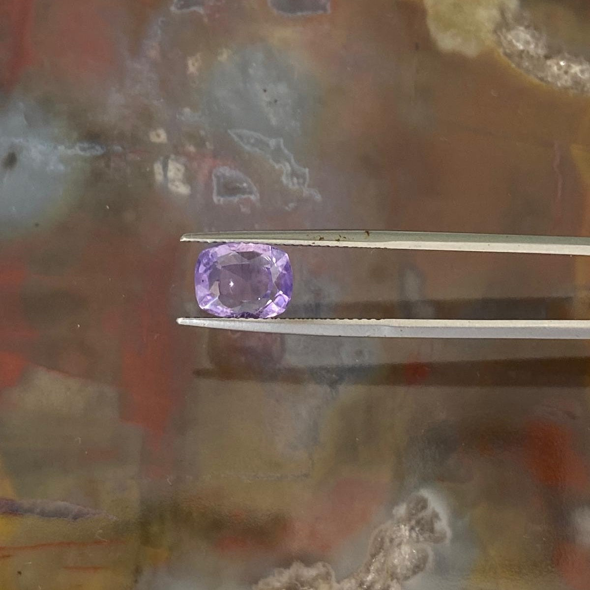 A small cushion-cut purple gemstone held in silver tweezers against a ;piece of petrified wood.